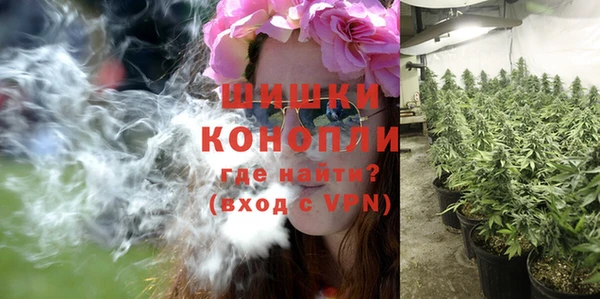 кристаллы Гусь-Хрустальный