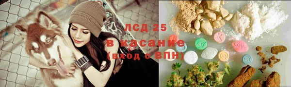 кристаллы Гусь-Хрустальный